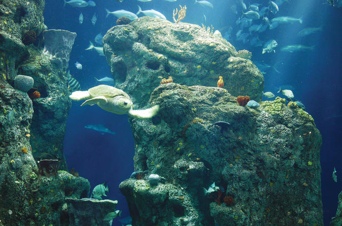 South Carolina Aquarium, Charleston