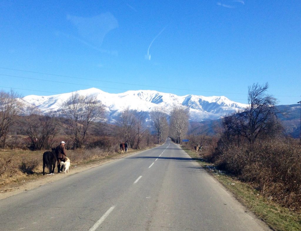 Bulgaria on the road, incontri