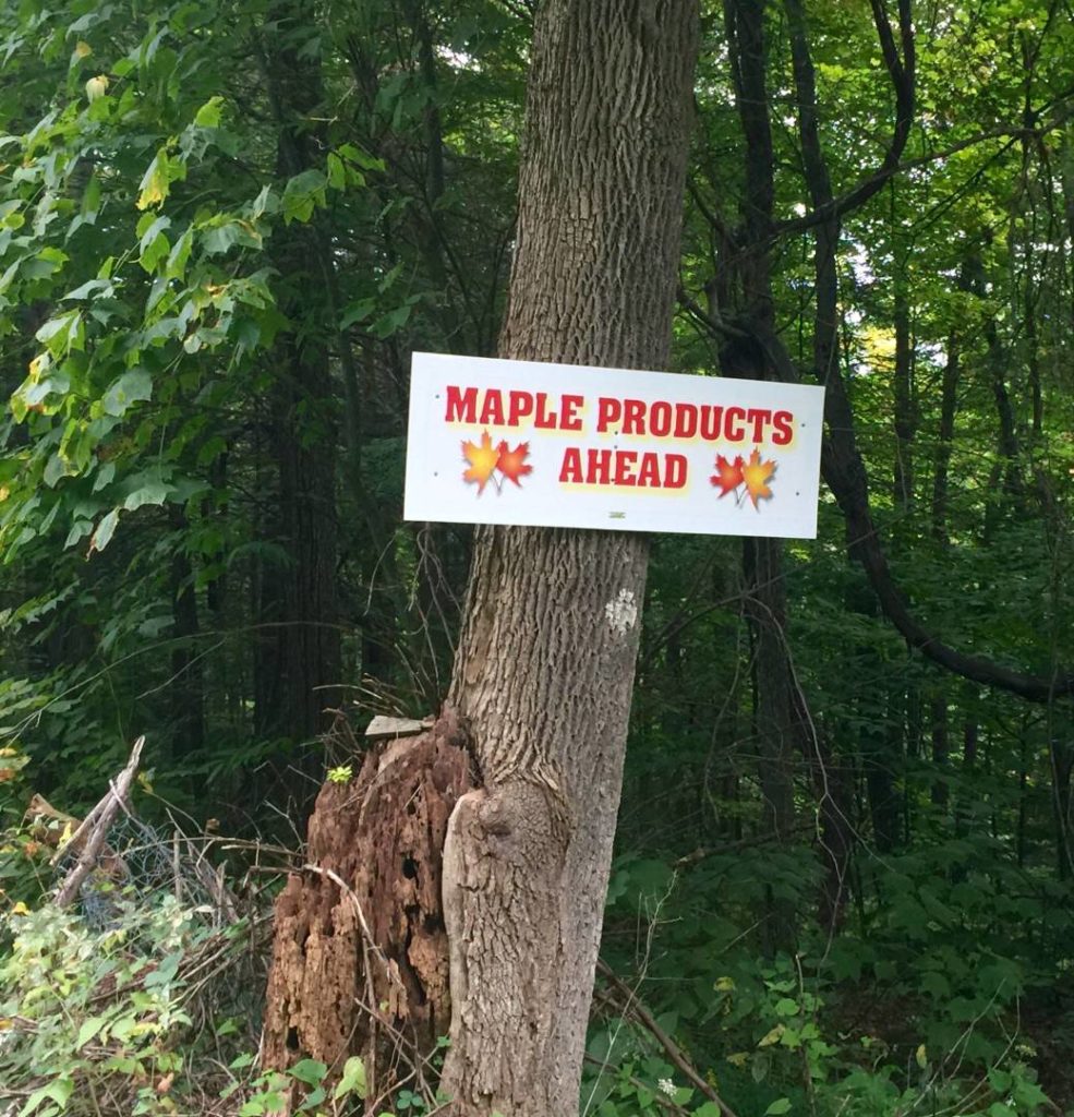 Maple Syrup, Berkshires Trail
