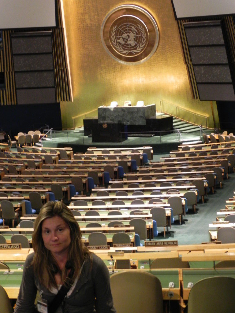 Nella sala dell' Assemblea Generale