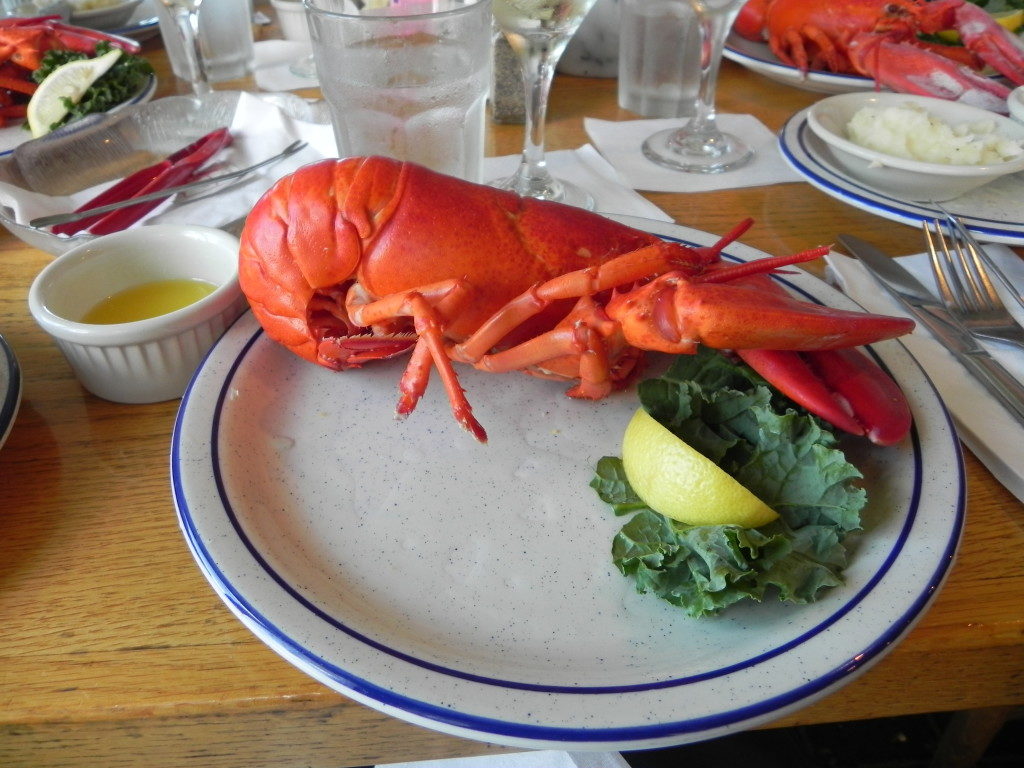 A typical lunch at Kennebunkport, Maine, USA