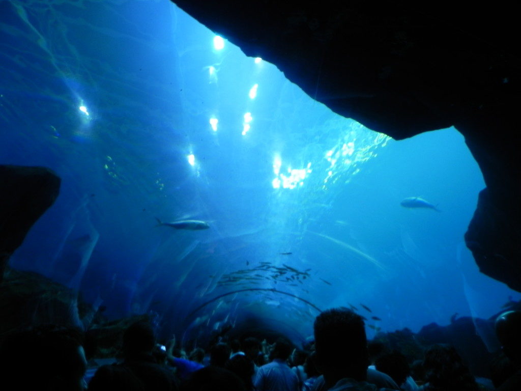 Il Tunnel dell'Oceano...