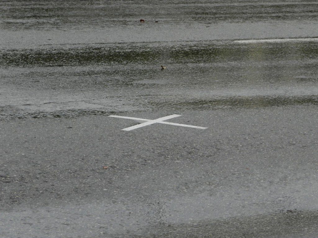 La X indica il luogo esatto in cui kennedy fu colpito...