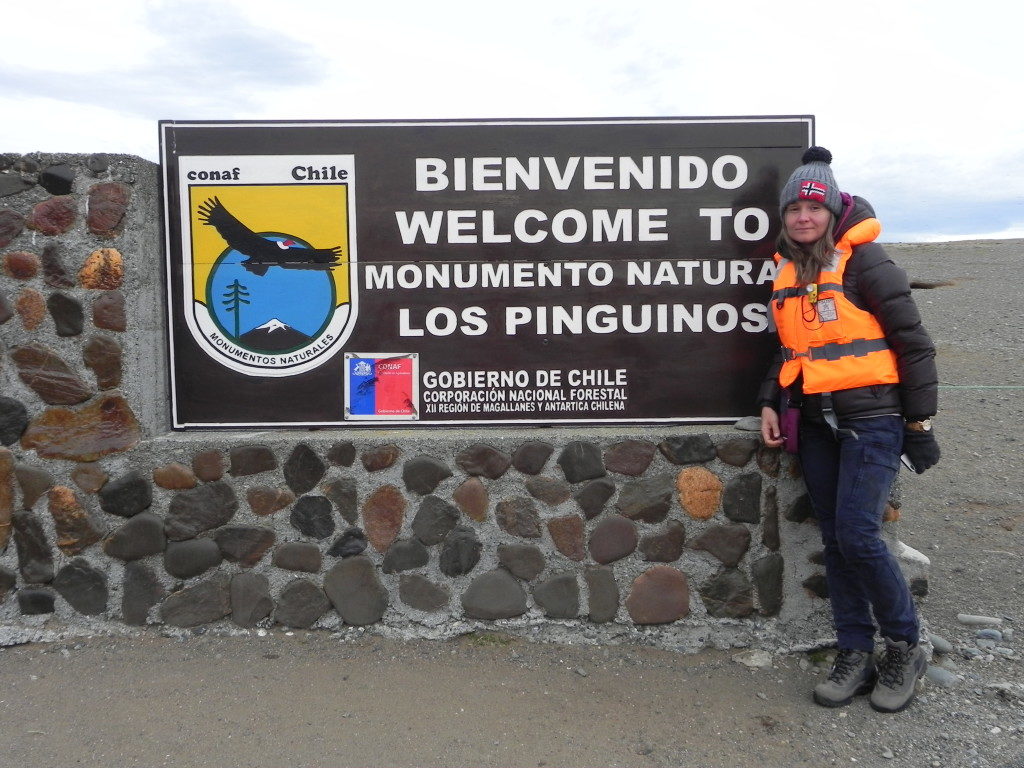 Isla Magdalena, Cile... l'isola dei Pinguini Magellanici...