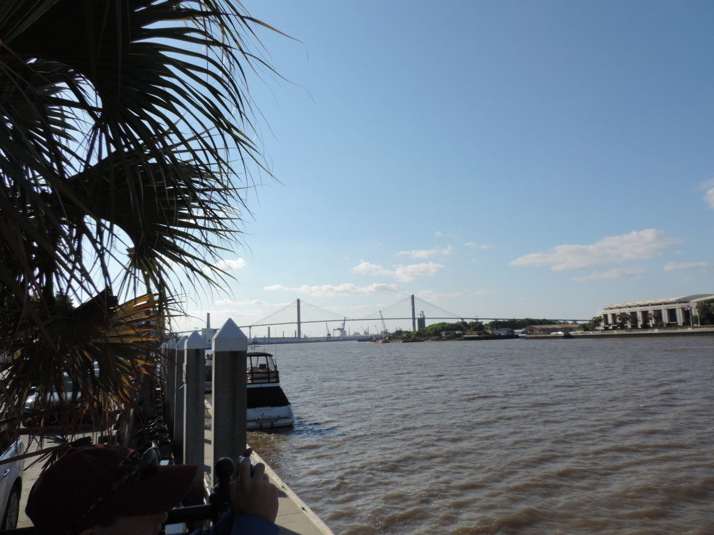 On the Savannah River