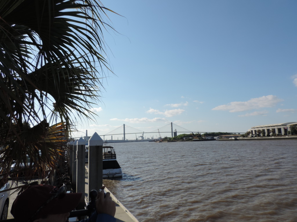 Il molo sul Savannah River