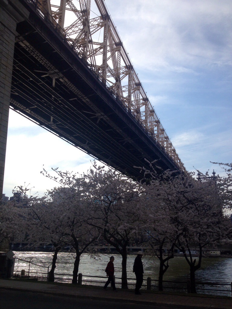 Tramonto da Roosevelt Island