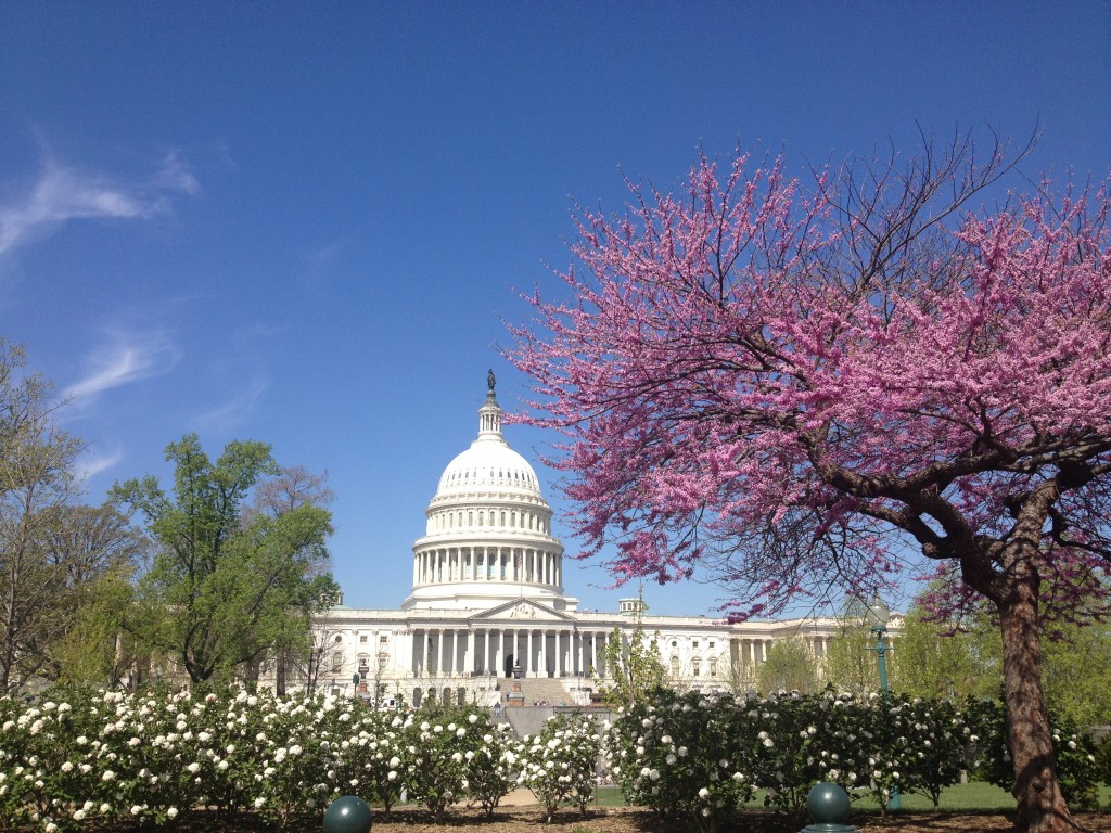 Washington DC guida ai luoghi da non perdere, Itinerario completo
