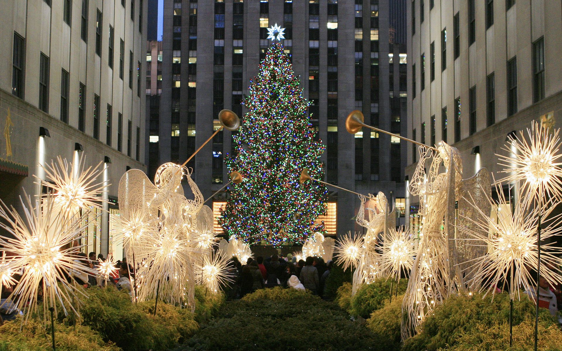Albero di Natale Rockefeller Center storia, informazioni e curiosità!