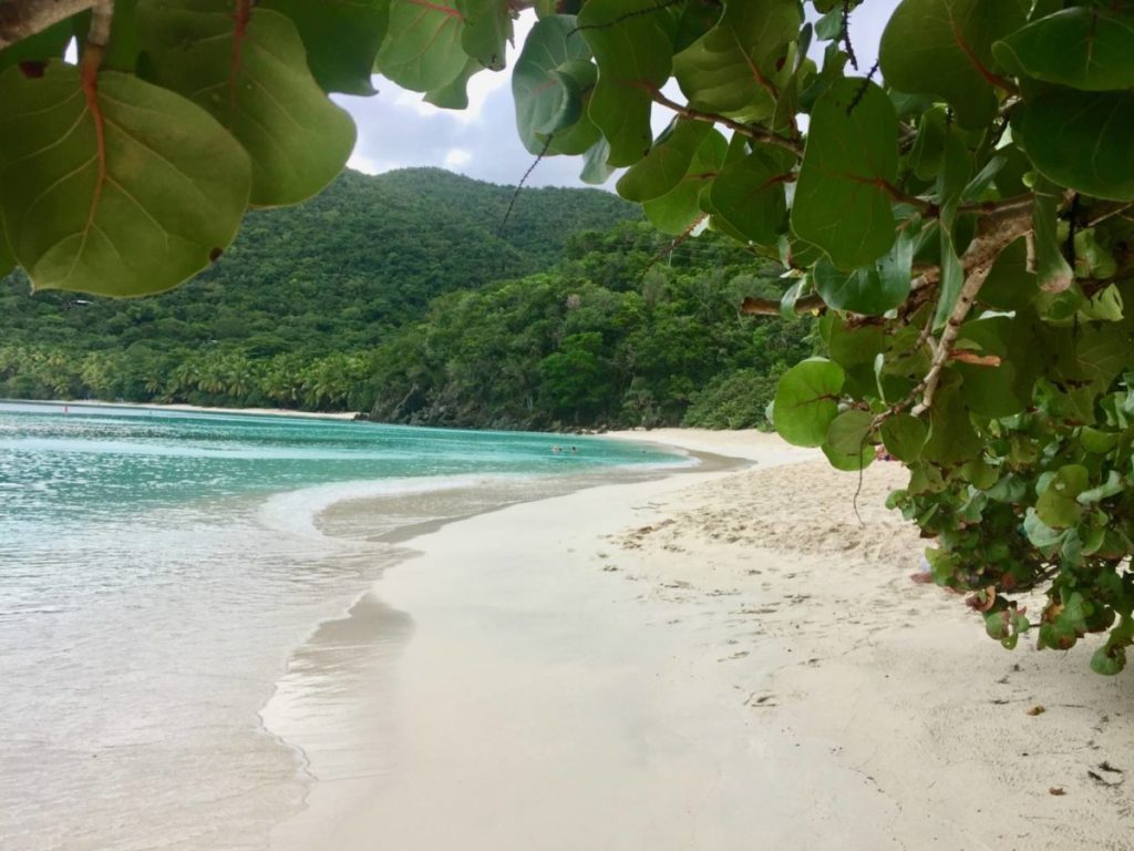 What to see in St. John: Trunk Bay Beach