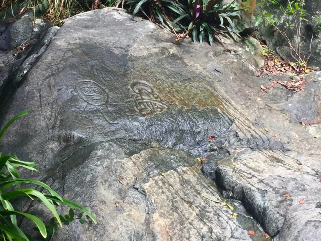 What to see in St. John: the petroglyphs of the Reef Bay Trail Hike