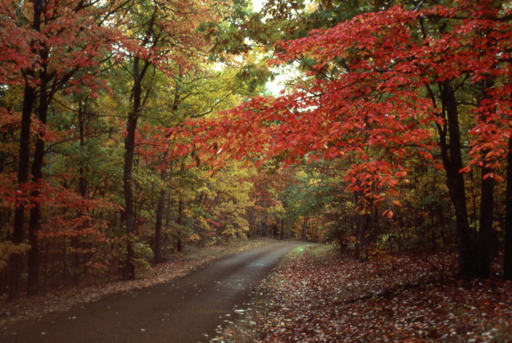 Things to do in Mississippi: the season of foliage on the Natchez Trace Pkwy (nps.org ph. credits)