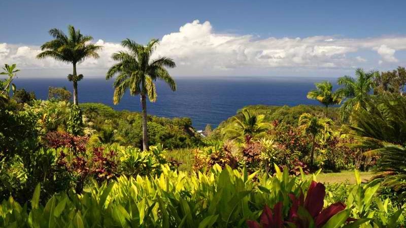 Garden of Eden, Maui