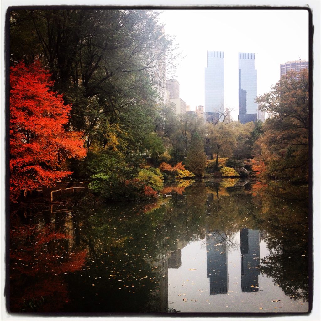 Autunno in Central Park