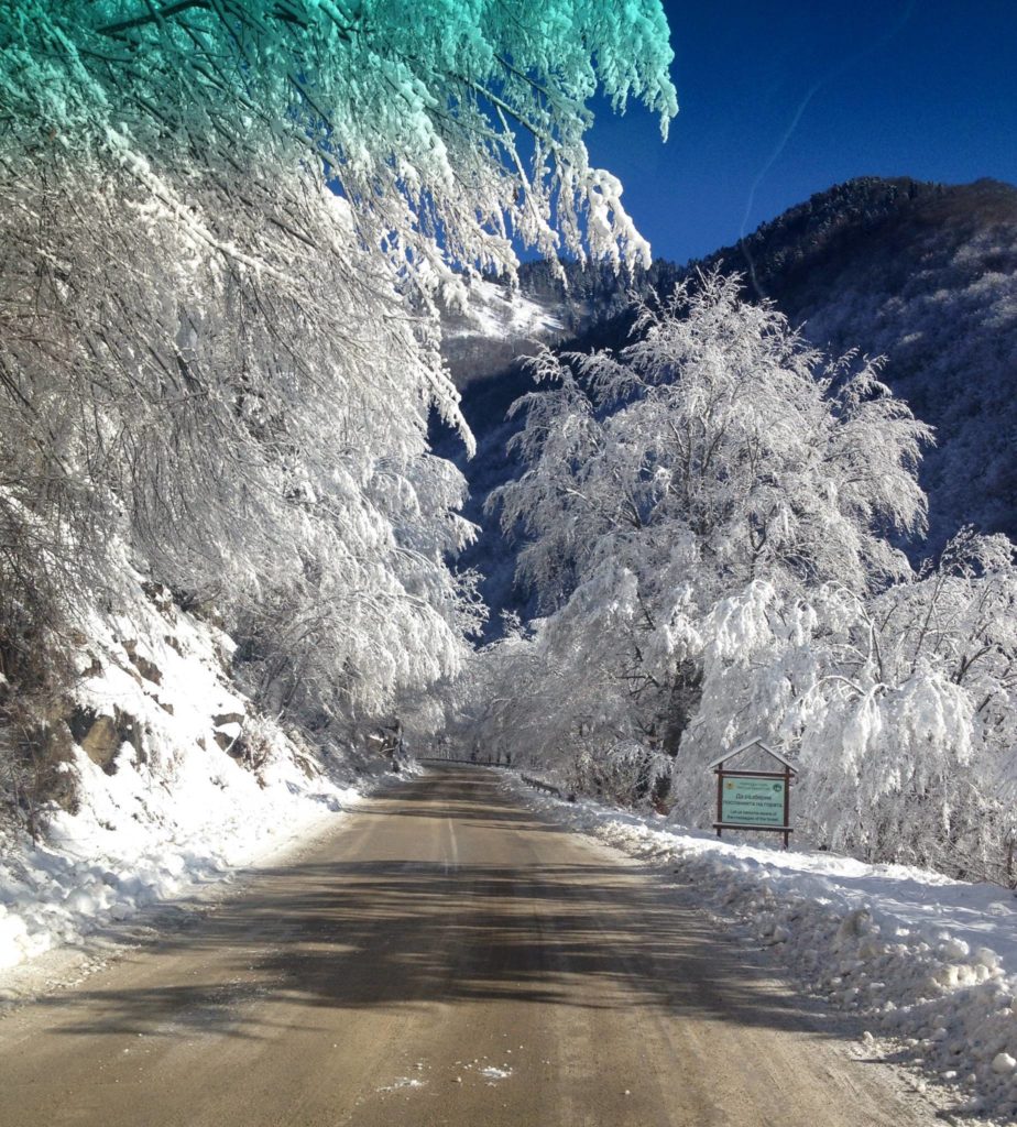 The road to Rila Monastery