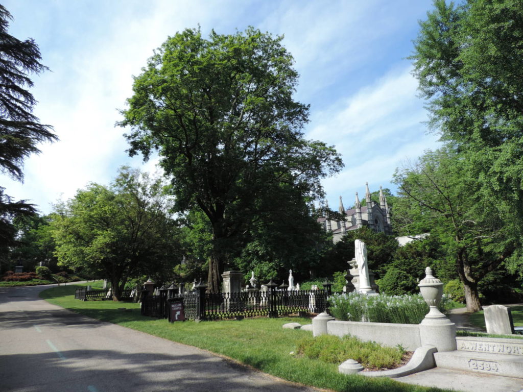 Mount Auburn Cemetery, percorsi