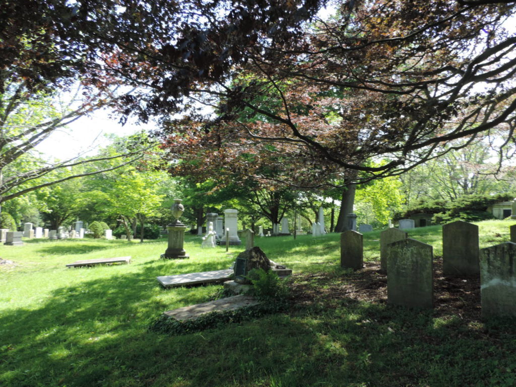 Mount Auburn Cemetery, views