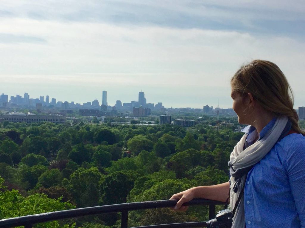 Mount Auburn Cemetery, veduta su Boton dalla Washington Tower