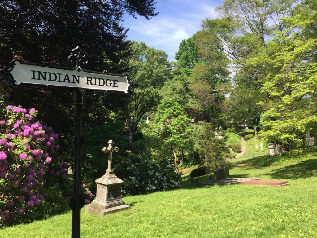 mount auburn cemetery walking tour