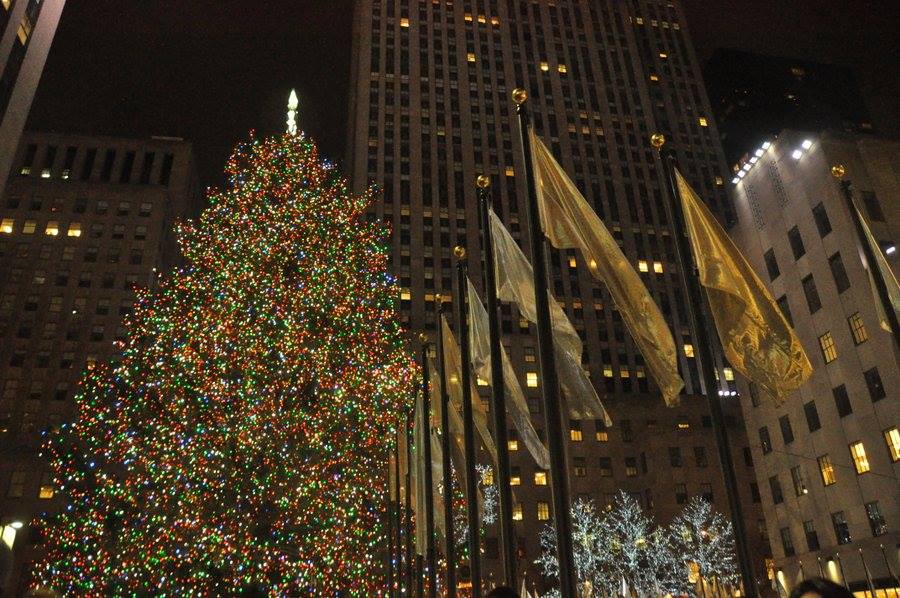 Natale a New York: l'albero del Rockefeller Center