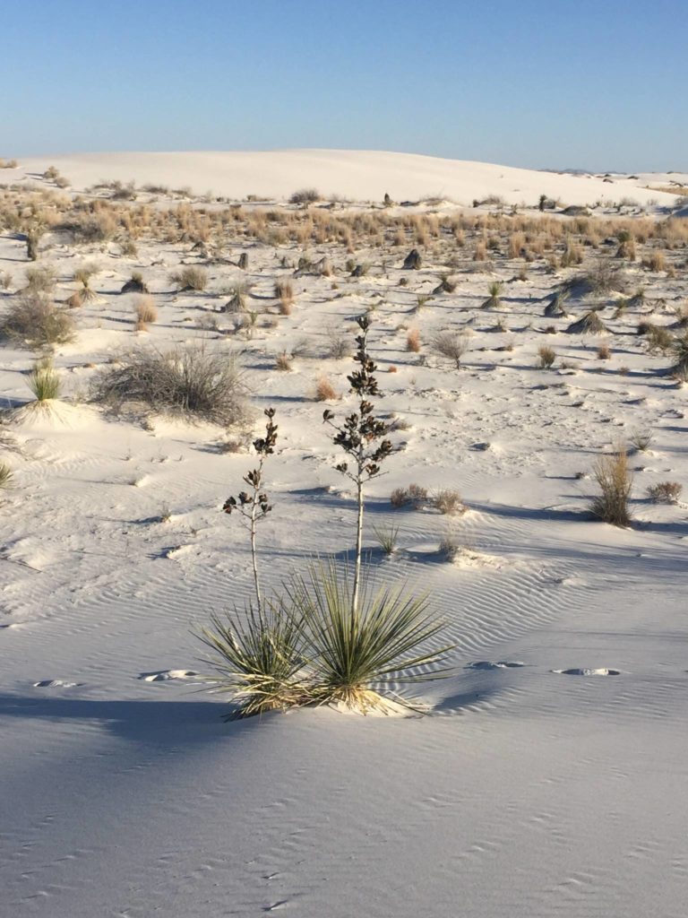 White Sands National Park