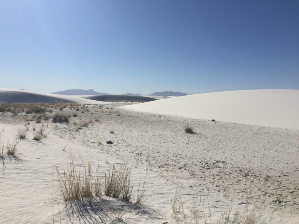 Dune Life Nature Trail