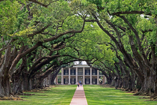 Oak Alley Plantation