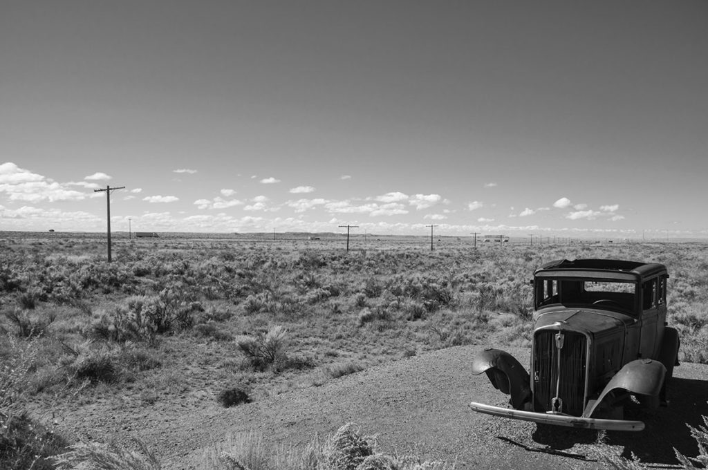 Petrified-forest-(Arizona)