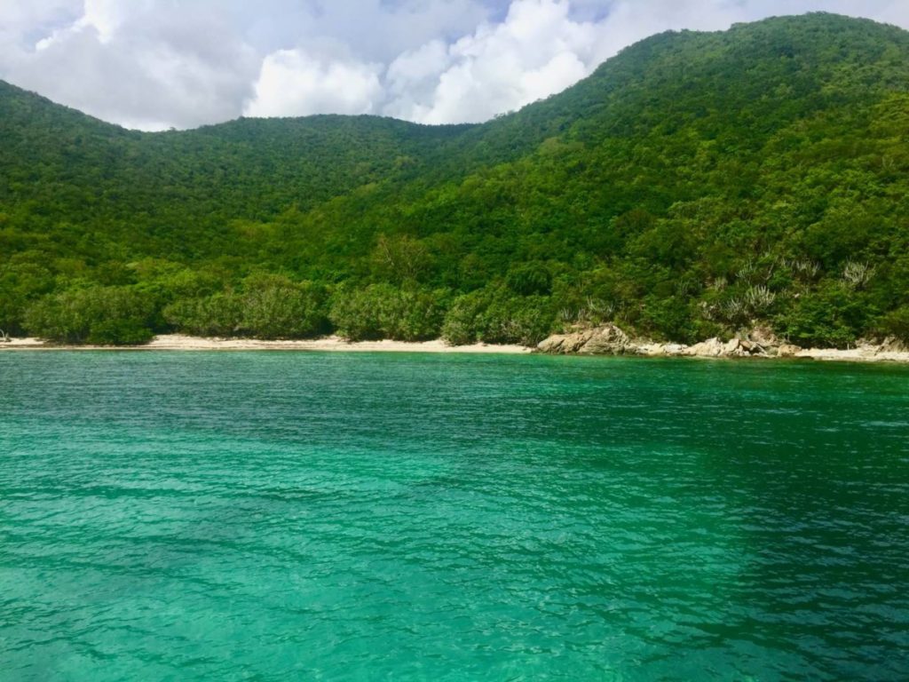 What to see in St. John: Reef Bay