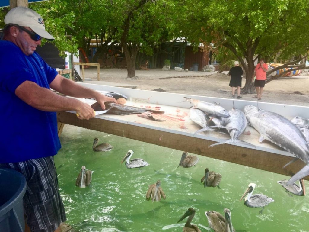 Frammenti di vita nelle Florida Keys