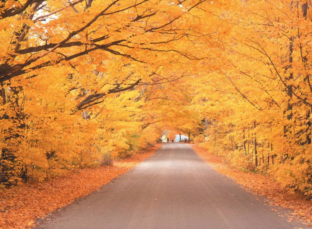 Scenic byways in Vermont