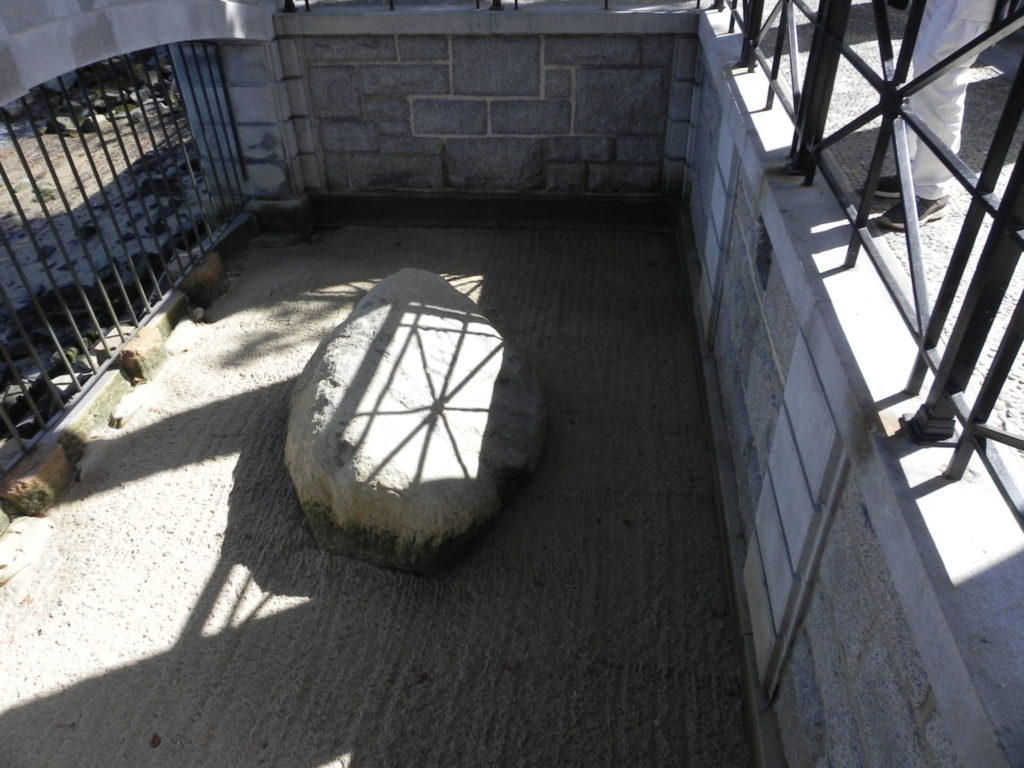 Plymouth Rock