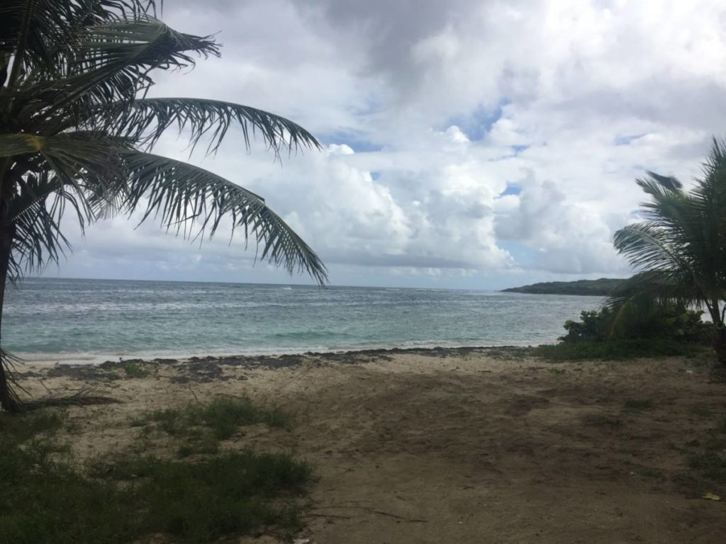 Salt River Bay National Historical Park & Ecological Preserve, the beach where Christopher Columbus landed