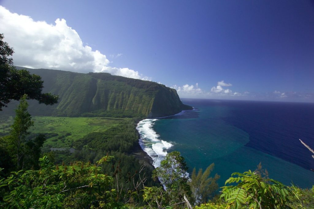 Waipi'o Valley Lookout