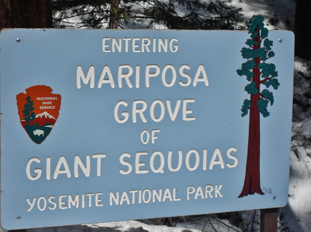 Benvenuti a Mariposa Grove e Giant Sequoias