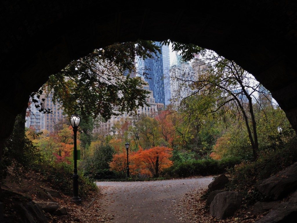Under an old bridge, somewhere in Central Park