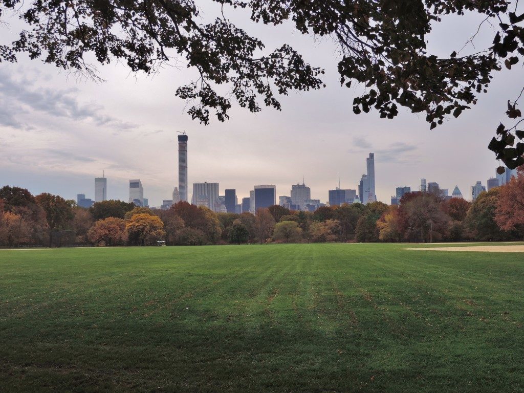 The Great Lawn, Central Park