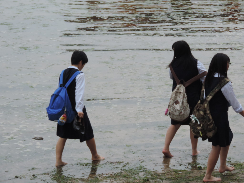 Studenti in gita a Miyajima