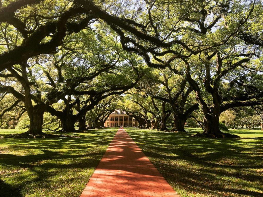 USA on the Road: Oak Alley Plantation