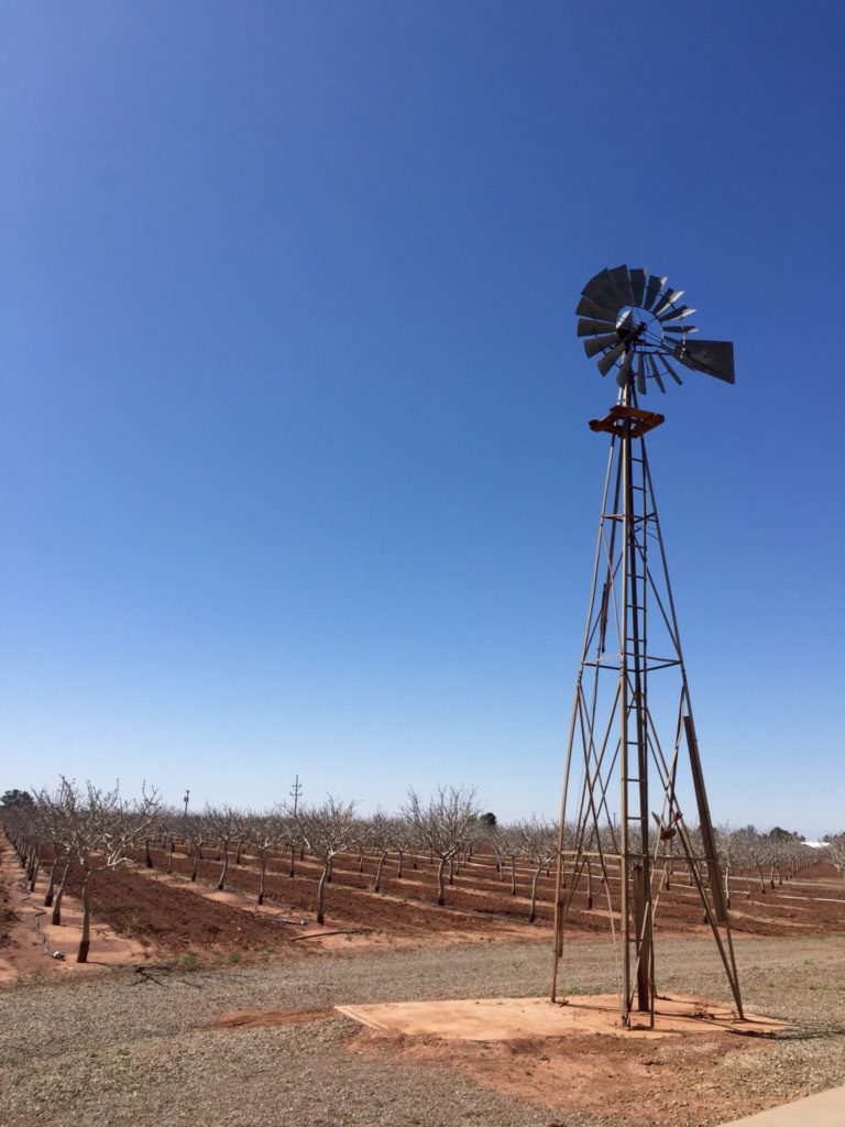 Frammenti di New Mexico